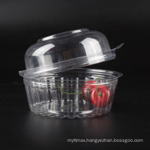 Salad Container Food Container Most Popular Eco-friendly 8oz Food Packing PET Disposable Food Fruit Packaging 14g Accept
